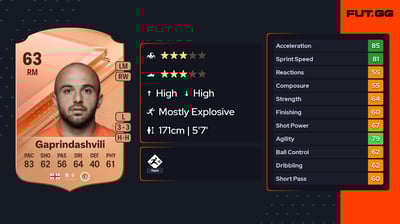 Tornike Gaprindashvili