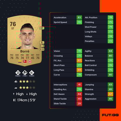 Rafael Santos Borré