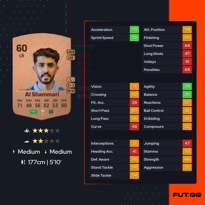 Abdulmalek Al Shammari