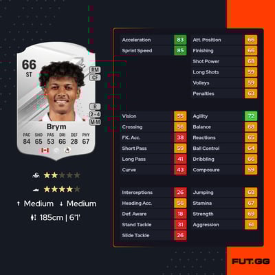 Charles-Andreas Brym