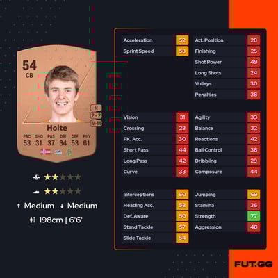 Stian Aarønes Holte