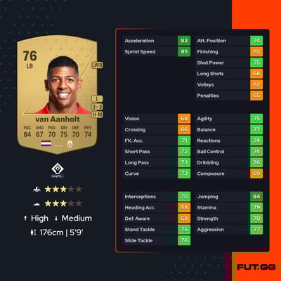 Patrick van Aanholt