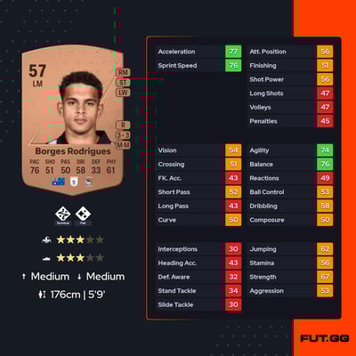 Raphael Borges Rodrigues