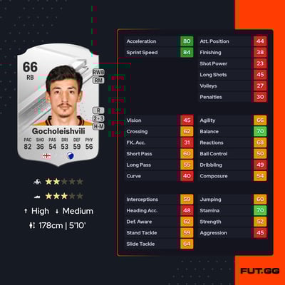 Giorgi Gocholeishvili