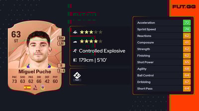 Miguel Puche