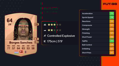 Yvandro Borges Sanches