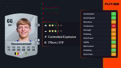 Robert-Jan Vanwesemael