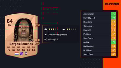 Yvandro Borges Sanches