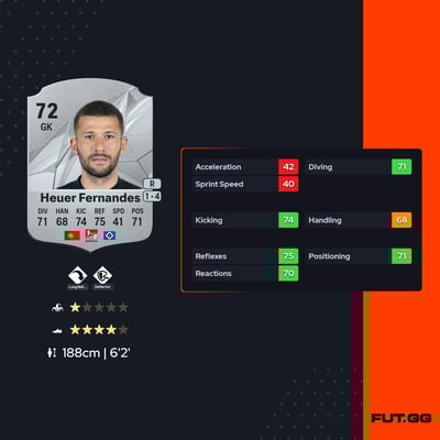 Daniel Heuer Fernandes