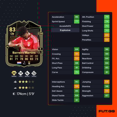 Leandro Barreiro Martins