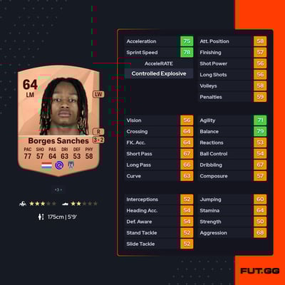 Yvandro Borges Sanches