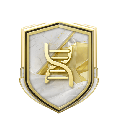 Icon Evolution Upgrade