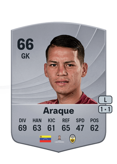 Alejandro Araque Common 66 OVR
