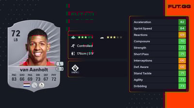 Patrick van Aanholt