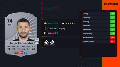 Daniel Heuer Fernandes