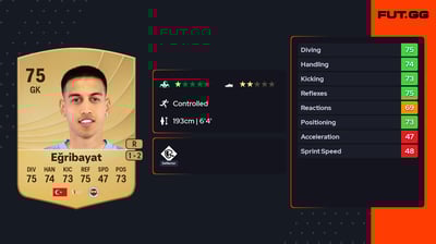 İrfan Can Eğribayat