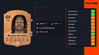 Yvandro Borges Sanches