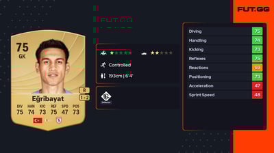 İrfan Can Eğribayat