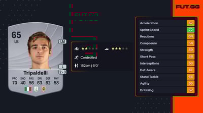 Alessandro Tripaldelli