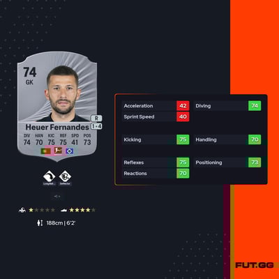 Daniel Heuer Fernandes