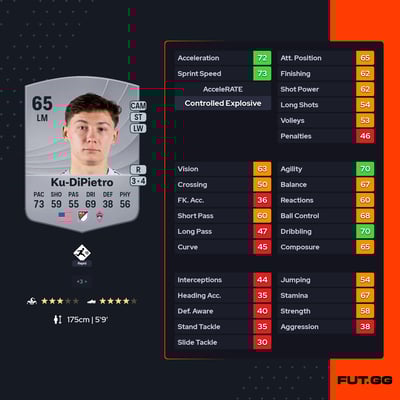 Theodore Ku-DiPietro