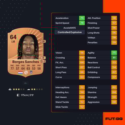 Yvandro Borges Sanches