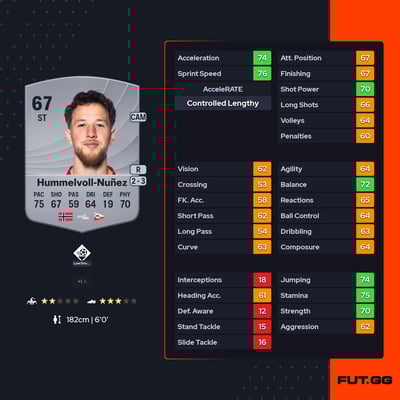 Johannes Hummelvoll-Nuñez