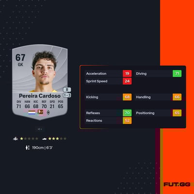 Tiago Pereira Cardoso