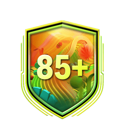 10x 85+ Summer Tournament Nations Upgrade