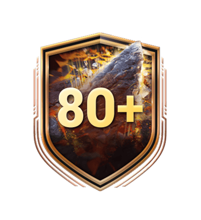 5x 80+ Upgrade