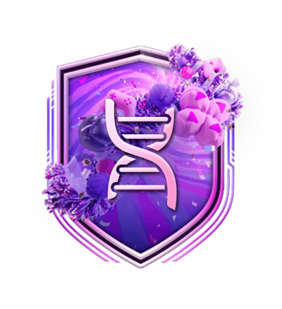 Five Star Baller EVO