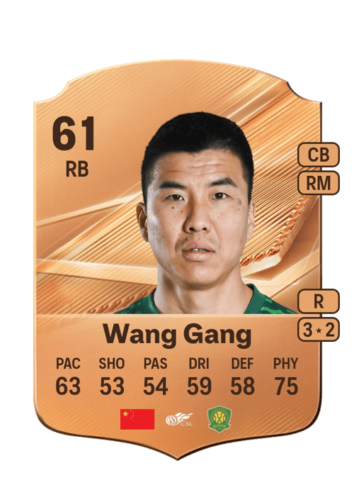 Wang Gang