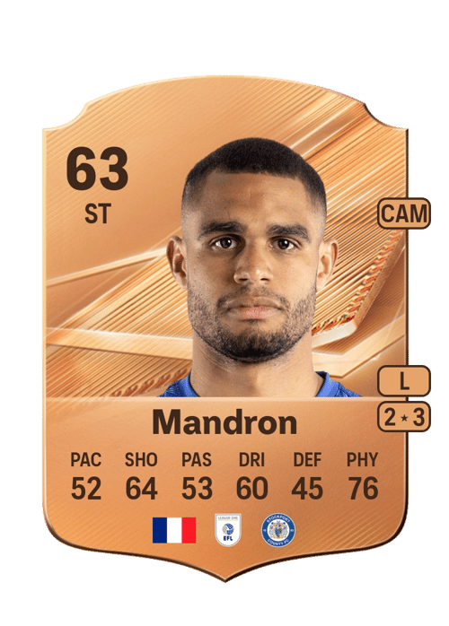 Mikaël Mandron