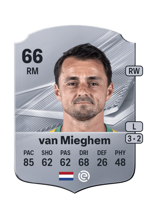 Daryl van Mieghem