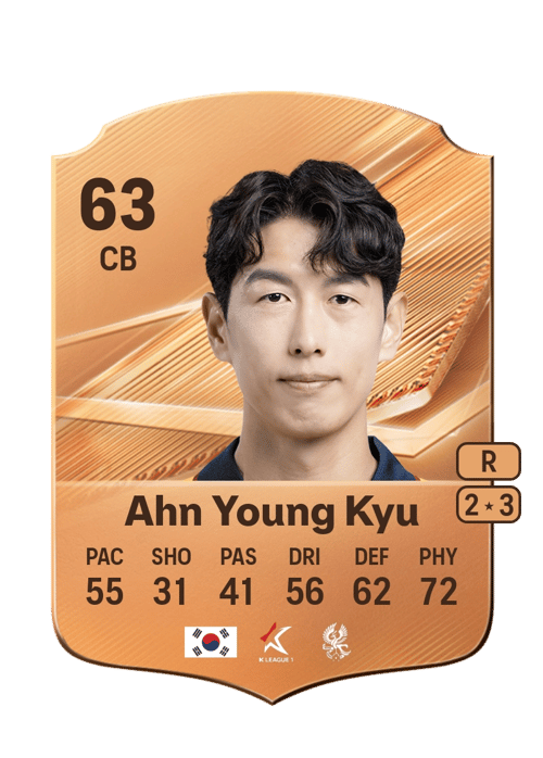 Ahn Young Kyu