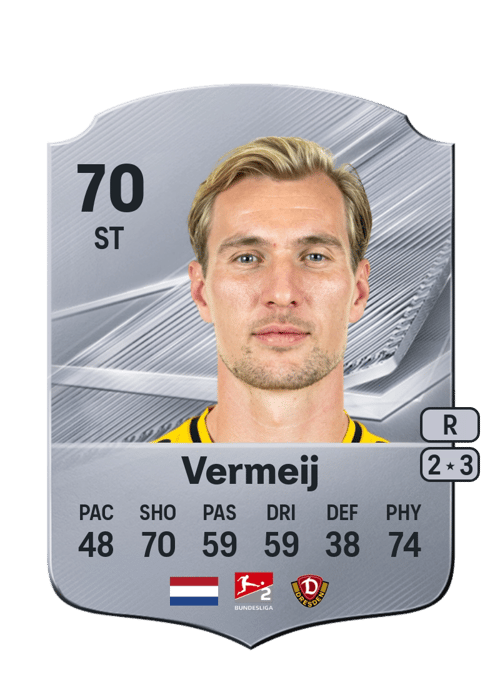 Vincent Vermeij