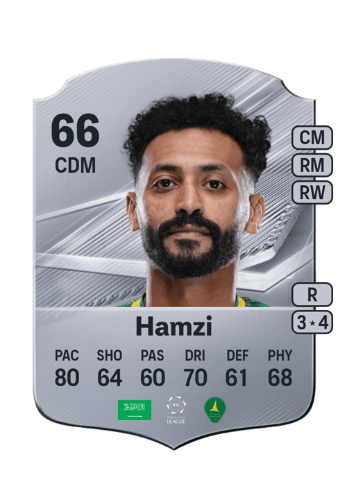 Mansour Hamzi