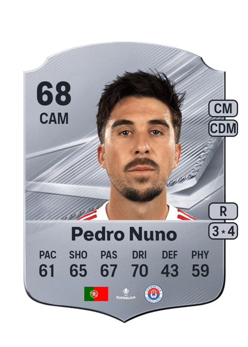 Pedro Nuno