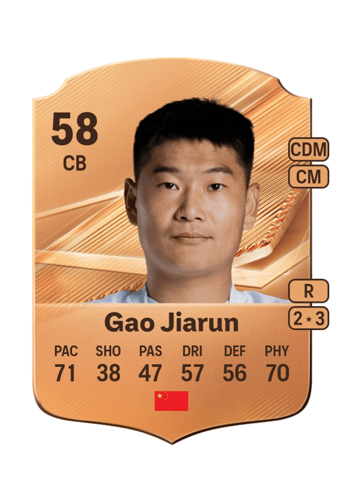 Gao Jiarun