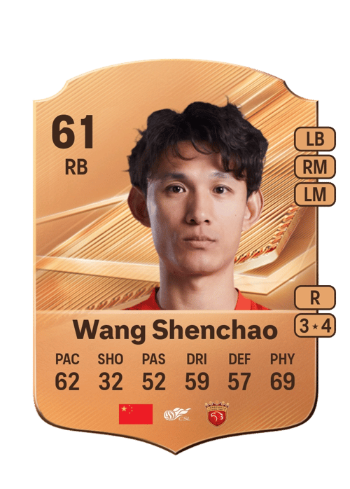 Wang Shenchao