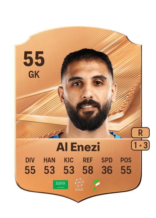 Waleed Al Enezi