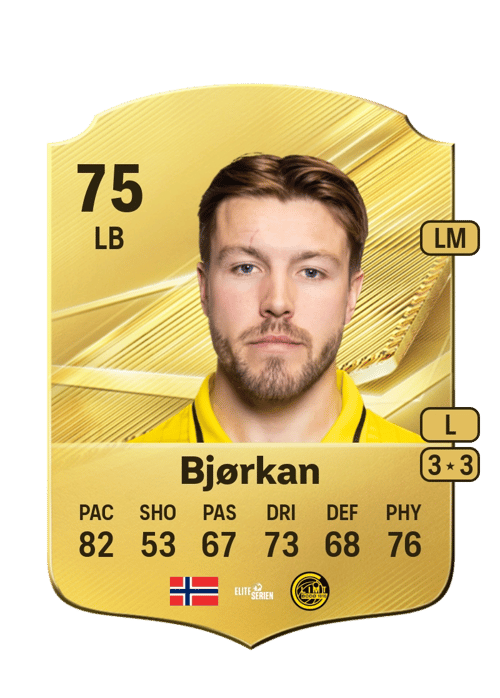 Fredrik Bjørkan