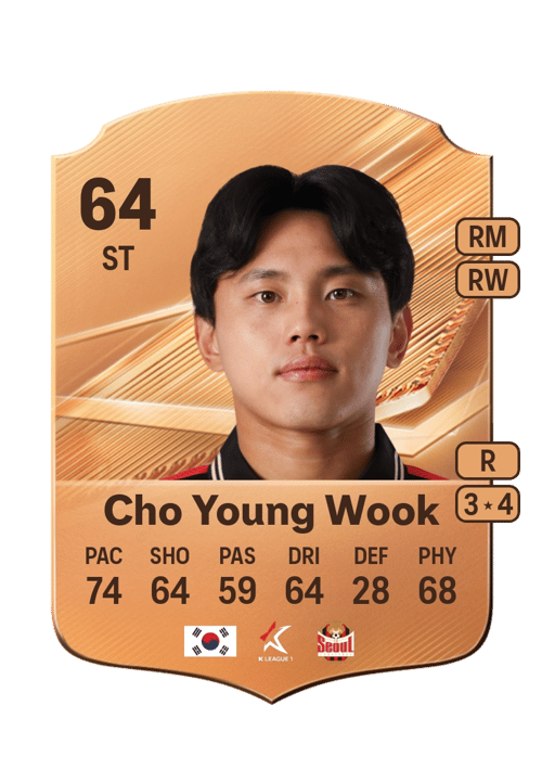 Cho Young Wook