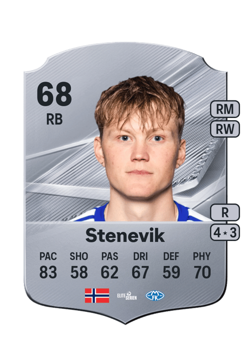 Halldor Stenevik