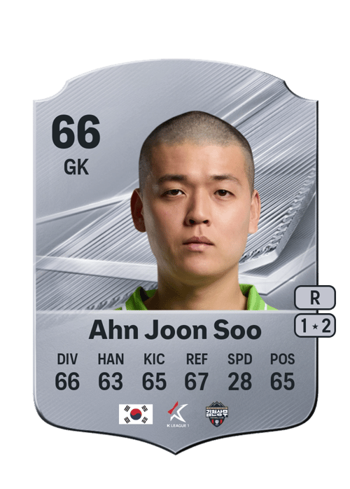 Ahn Joon Soo