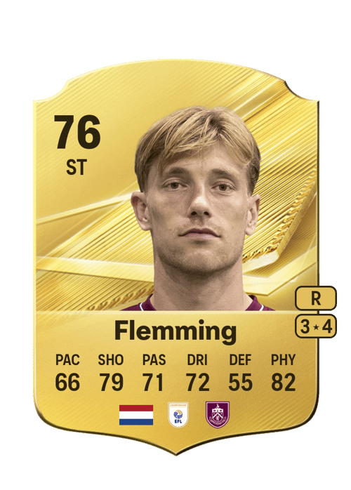 Zian Flemming