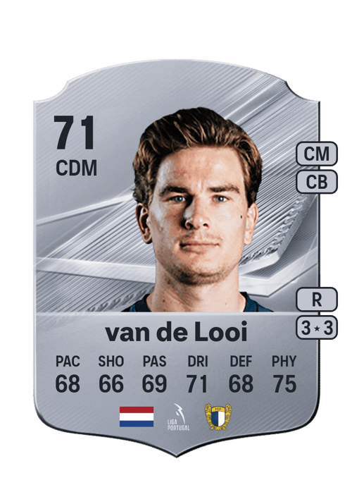 Tom van de Looi