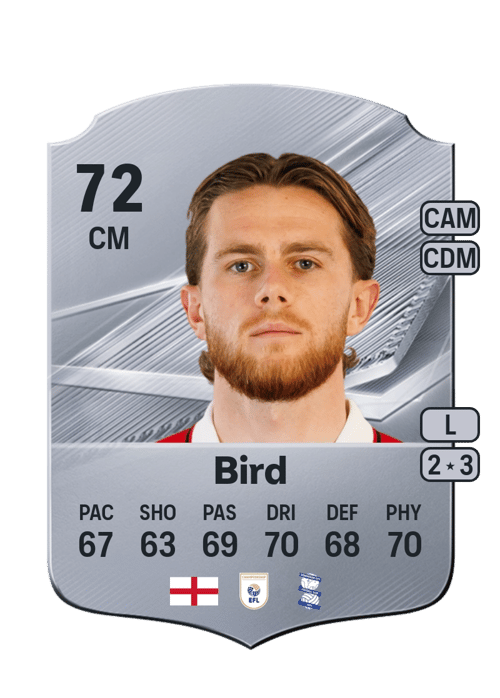 Max Bird