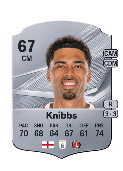 Harvey Knibbs