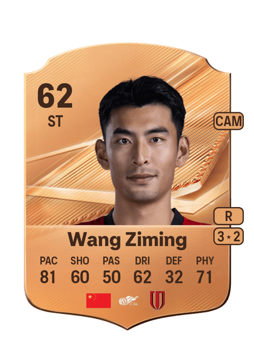 Wang Ziming
